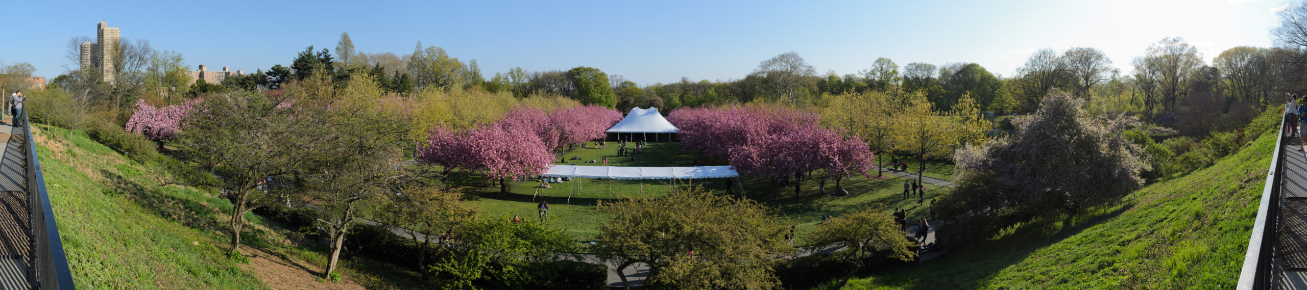 Brooklyn Botanic Garden Train