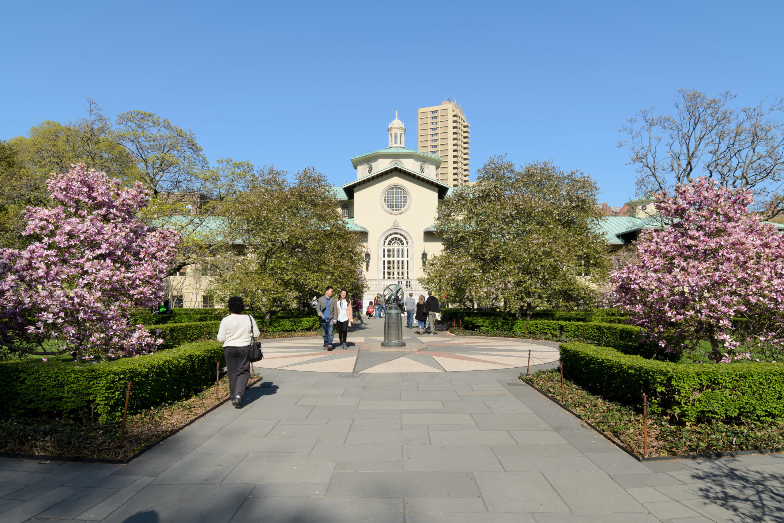 Brooklyn Botanic Garden Native Plants