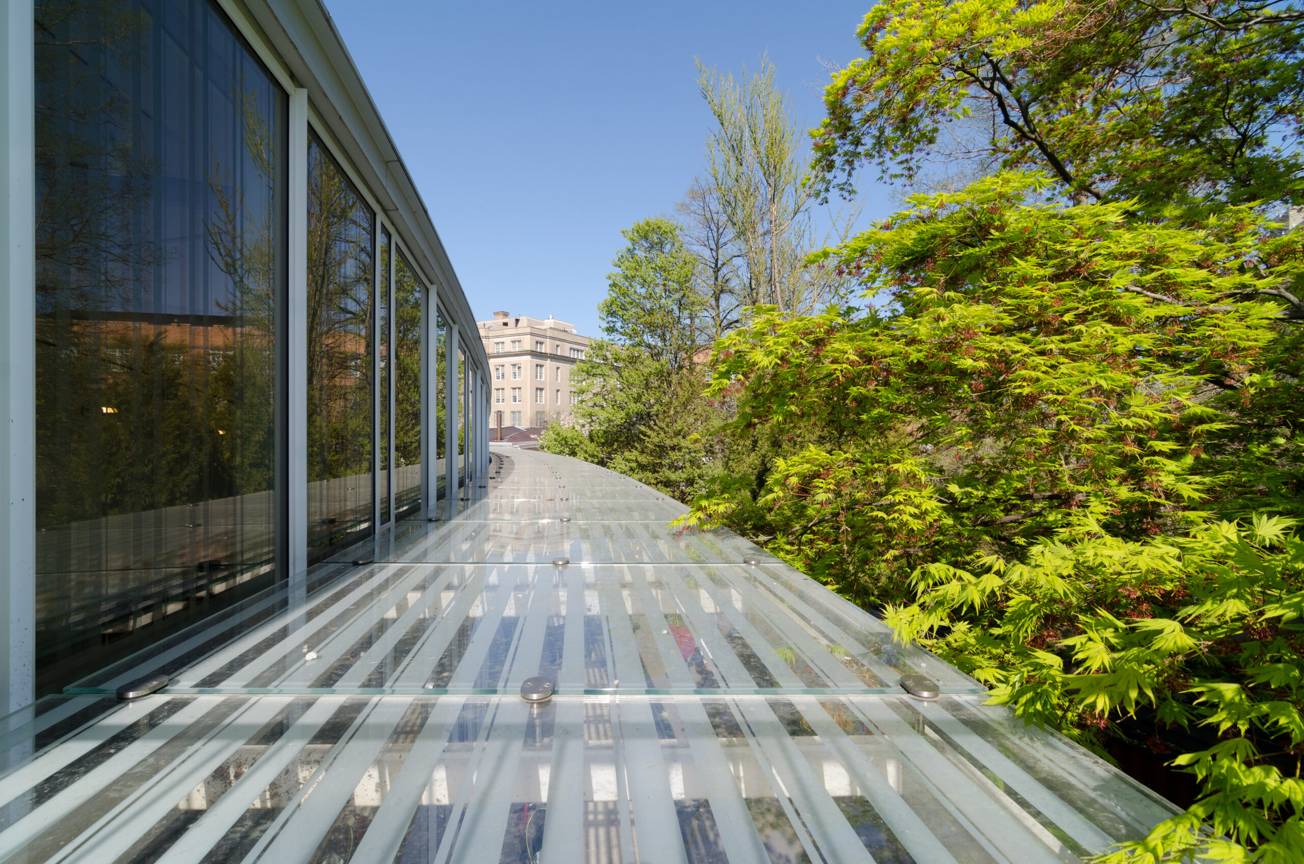 Brooklyn Botanic Garden Butterfly Exhibit