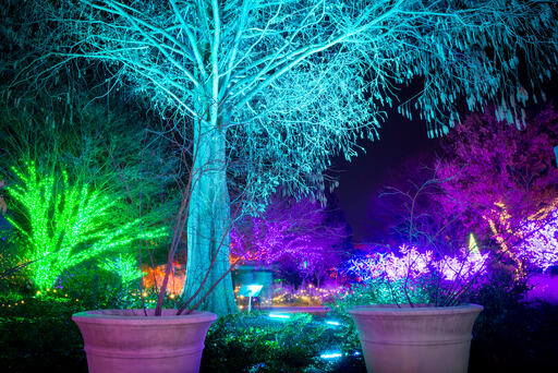 atlanta botanical garden gala