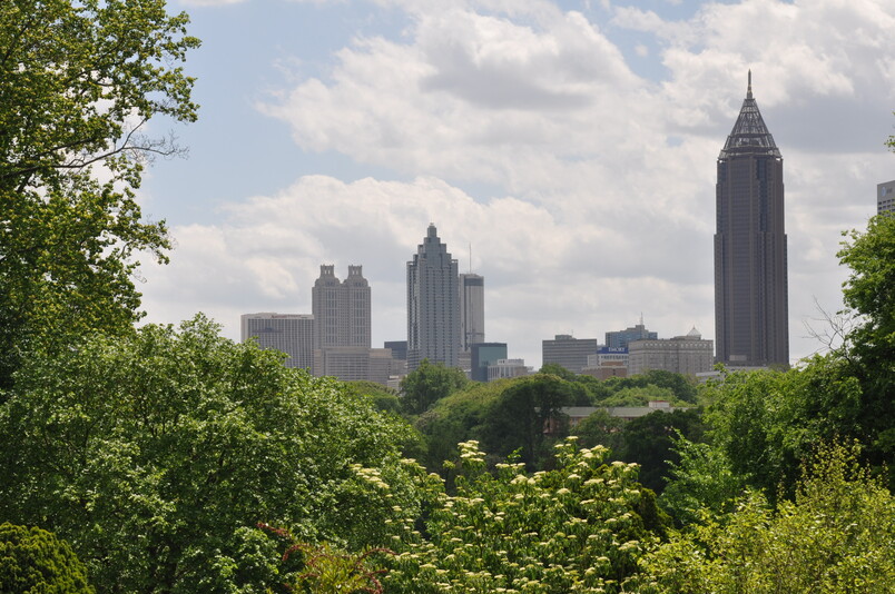 atlanta botanical garden canopy walk