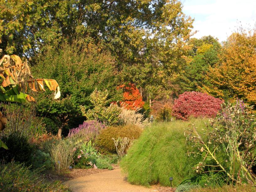 atlanta botanical garden science cafe